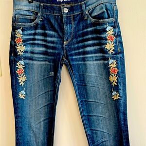 Driftwood Skinny Embroidered Jeans
